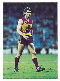 1991 Select AFL Stickers #34 Phillip Walsh Front